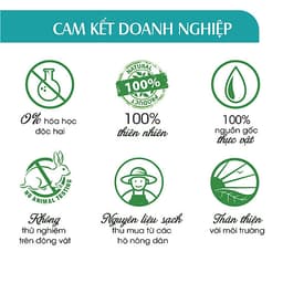 Xịt Phòng Tinh Dầu Bạc Hà Hữu Cơ Organic 24Care 50ML/100ML - Kháng khuẩn - Khử mùi hôi - Đuổi muỗi, côn trùng - Tập trung tinh thần làm việc, lái xe, học hành - Hương thơm thư giãn.