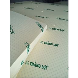 Bộ Nệm CAO SU NON THẮNG LỢI - 2 gối chính hãng