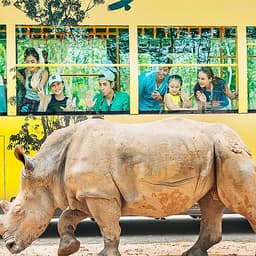 Combo Vé VinWonders Và Vé Vườn Thú Mở Vinpearl Safari Phú Quốc, Vui Chơi Trong 01 Ngày