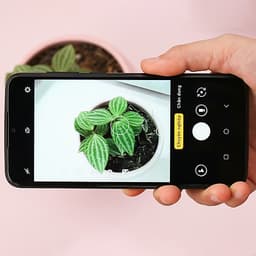 Điện thoại Vsmart Star 4 (3GB/32GB) - Hàng Chính Hãng