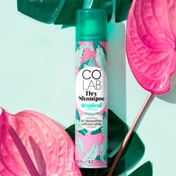 Dầu gội khô Colab Dry Shampoo 200ml