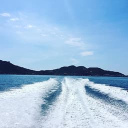 Tour Bình Hưng - Lặn Ngắm San Hô 2N2Đ, Xe Giường Nằm, Khởi Hành Tối Thứ 6 Hàng Tuần & Dịp Lễ Tết