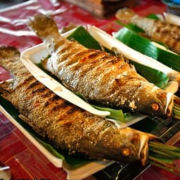 Tour 2N1Đ Hà Nội - Cao Nguyên Mộc Châu - Các Mùa Hoa - Đồi Chè Trái Tim - Chợ Pà Cò, Khởi Hành Thứ 7 Hàng Tuần