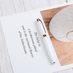 Bút Máy Viết Chữ Đẹp Picasso 920 (0.5mm)