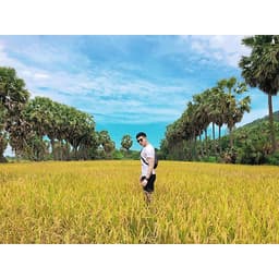 DISCO TRAVEL - Tour An Giang – Vùng Đất Sơn Kỳ Thủy Tú (3 Ngày 2 Đêm)