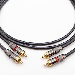 Bộ 02 Dây Tín Hiệu Audio RCA Chống Nhiễu Monster Standard 100 AZONE