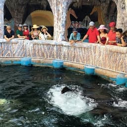 [Tour Tết] Tour Du Lịch Tết NHA TRANG – HÒN SỎI – THIÊN ĐƯỜNG BIỂN 3 ngày 3 đêm mùng khởi hành mùng 1, 2, 3  Tết (12, 13, 14/2/2021)  tại thành phố Hồ Chí Minh bằng xe du lịch 7-16-29-45 chỗ