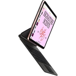 iPad Air 10.9 Wi-Fi 256GB New 2020 - Hàng Chính Hãng