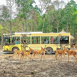 Combo Vé VinWonders Và Vé Vườn Thú Mở Vinpearl Safari Phú Quốc, Vui Chơi Trong 01 Ngày