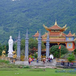 Tour Cù Lao Chàm 1 ngày đón Đà Nẵng