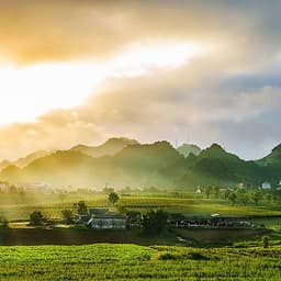 Tour 2N1Đ Hà Nội - Cao Nguyên Mộc Châu - Các Mùa Hoa - Đồi Chè Trái Tim - Chợ Pà Cò, Khởi Hành Thứ 7 Hàng Tuần