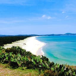 [Tour Tết] Tour tham quan PHÚ YÊN – QUY NHƠN – KỲ CO – EO GIÓ 3 ngày 2 đêm khởi hành mùng 2,3,4 Tết (13,14,15/2/2021) tại thành phố Hồ Chí Minh bằng máy bay Vietjet Air
