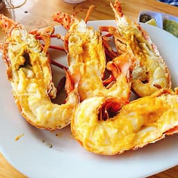 Tour Bình Hưng - Lặn Ngắm San Hô 2N2Đ, Xe Giường Nằm, Khởi Hành Tối Thứ 6 Hàng Tuần & Dịp Lễ Tết