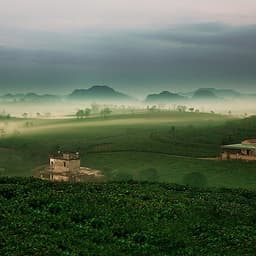 Tour 2N1Đ Hà Nội - Cao Nguyên Mộc Châu - Các Mùa Hoa - Đồi Chè Trái Tim - Chợ Pà Cò, Khởi Hành Thứ 7 Hàng Tuần