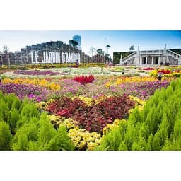TOUR GHÉP BÀ NÀ – KHÁM PHÁ CẦU VÀNG | ĐI VỀ TRONG NGÀY, KHỞI HÀNH HÀNG NGÀY