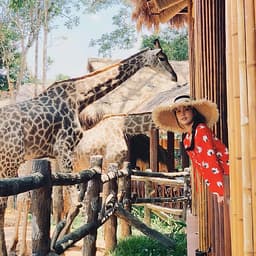 Combo Vé VinWonders Và Vé Vườn Thú Mở Vinpearl Safari Phú Quốc, Vui Chơi Trong 01 Ngày