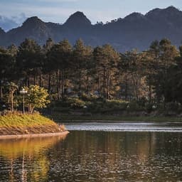 [Tour Tết] tham quan Hà Nội - Mộc Châu - Ninh Bình 4 ngày 3 đêm mùng 2 - 3- 4 Tết khởi hành tại thành phố Hồ Chí Minh bằng máy bay Vietjet Air