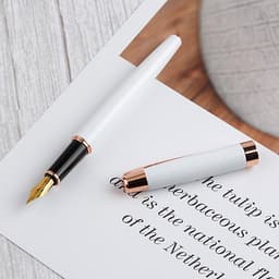 Bút Máy Viết Chữ Đẹp Picasso 920 (0.5mm)