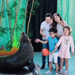 [Tour Tết] Tour Du Lịch Tết NHA TRANG – HÒN SỎI – THIÊN ĐƯỜNG BIỂN 3 ngày 3 đêm mùng khởi hành mùng 1, 2, 3  Tết (12, 13, 14/2/2021)  tại thành phố Hồ Chí Minh bằng xe du lịch 7-16-29-45 chỗ
