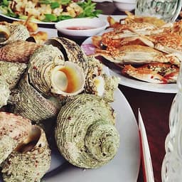 Tour Bình Hưng - Lặn Ngắm San Hô 2N2Đ, Xe Giường Nằm, Khởi Hành Tối Thứ 6 Hàng Tuần & Dịp Lễ Tết