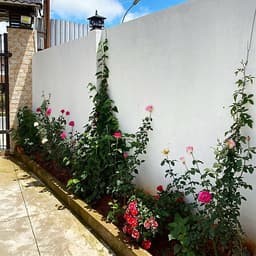 Don Villa Hồ Xuân Hương Đà Lạt - 04 Phòng Ngủ Dành Cho 10 Người Lớn, Gần Làng Hoa Thái Phiên, Hồ Than Thở