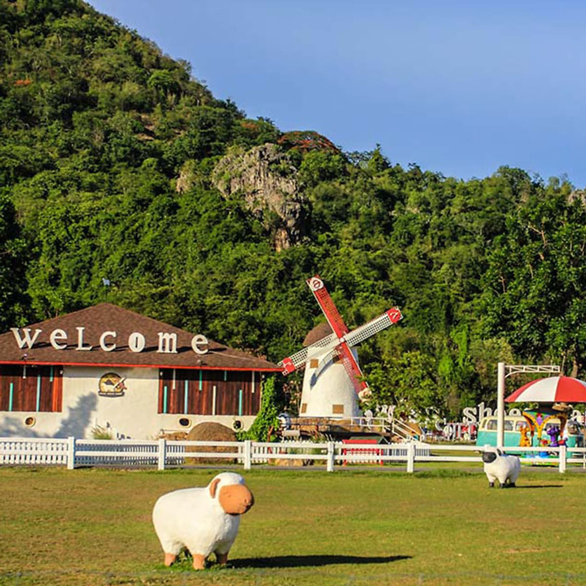 Vé Nông Trại Cừu Swiss Sheep Farm Pattaya