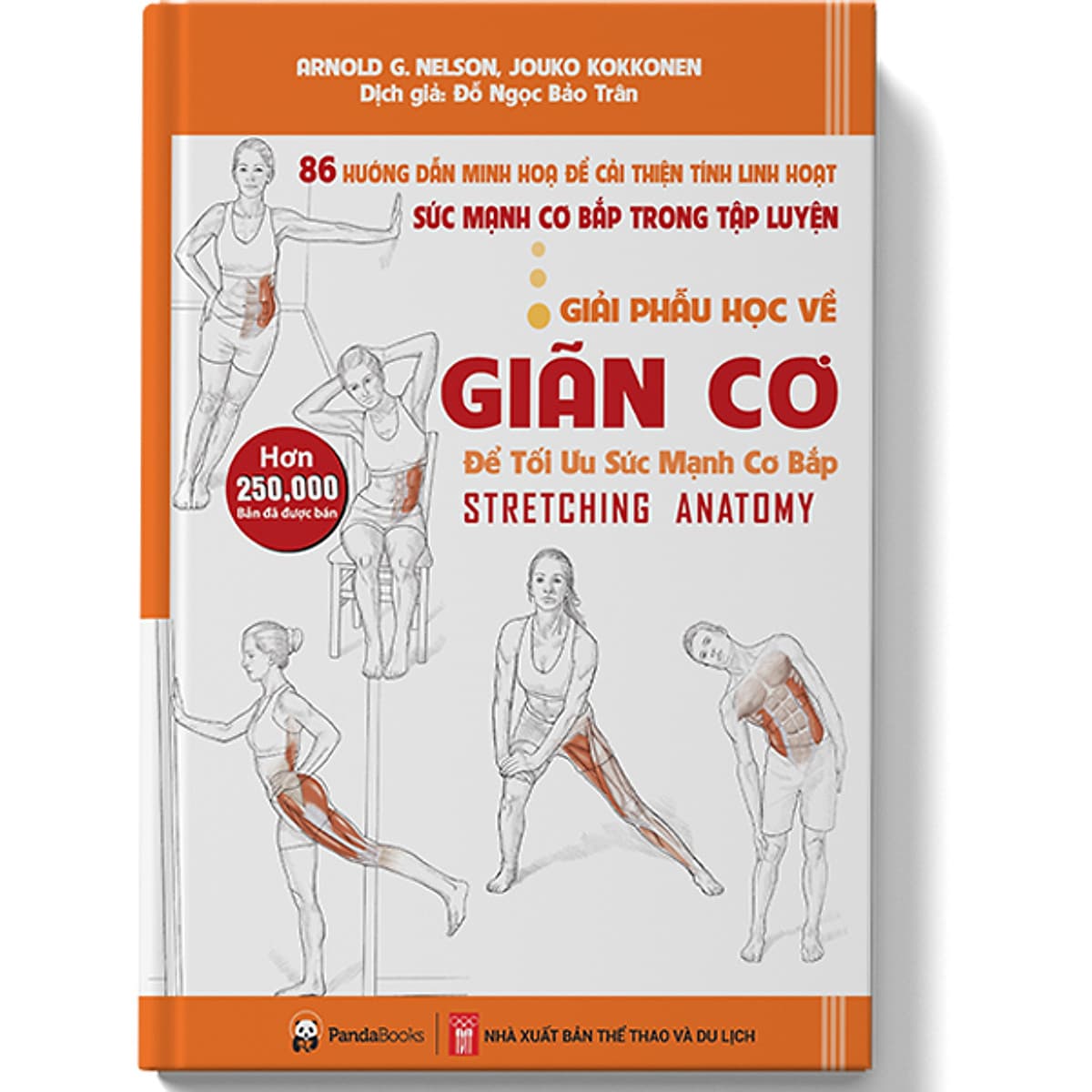 Giải Phẫu Học Về Giãn Cơ - 
Giãn Cơ Để Tối Ưu Sức Mạnh Cơ Bắp