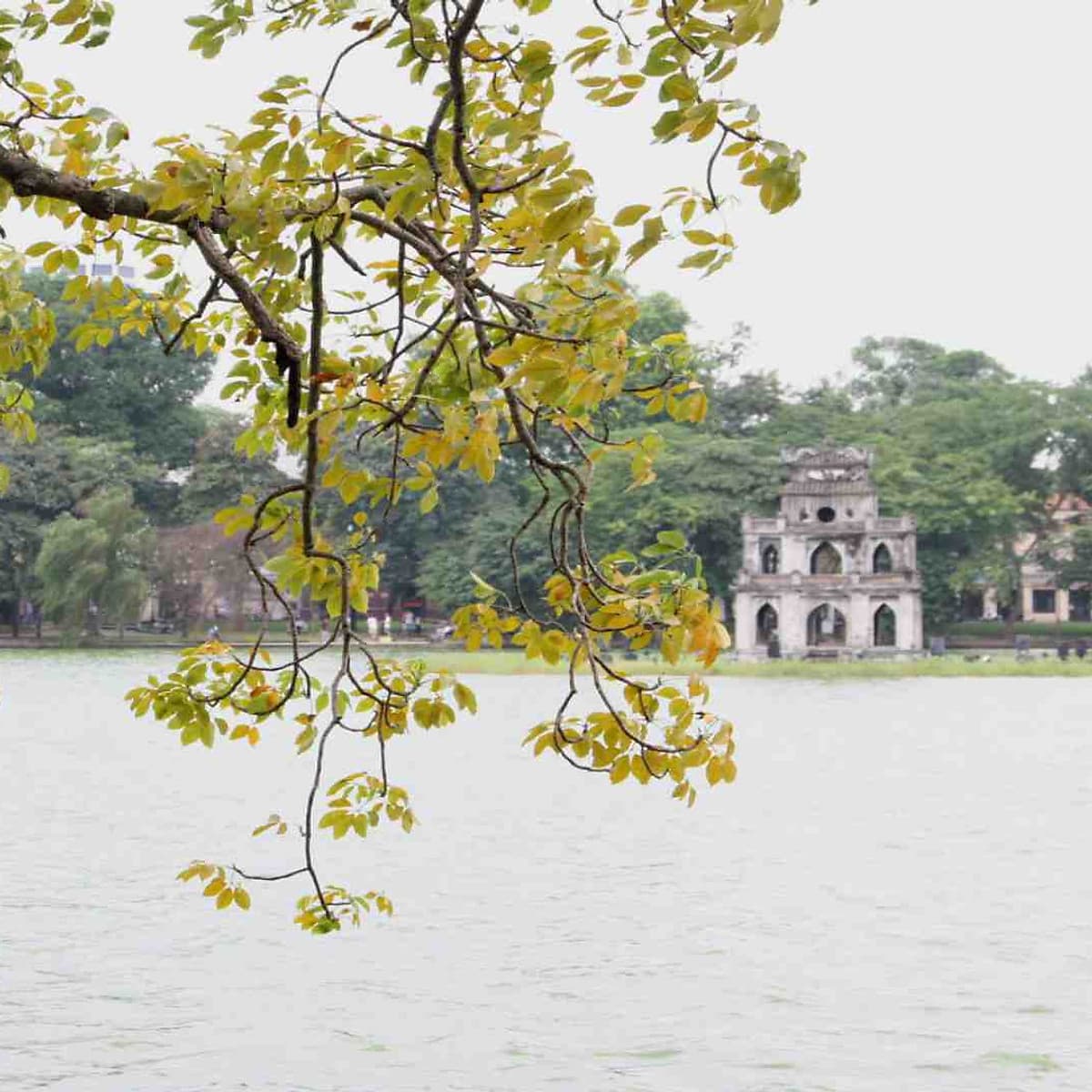 TMB3. Tour Ghép Miền Bắc 4n3đ Hà Nội - Sapa Khám Phá Các Địa Điểm Nổi Tiếng Không Thể Bỏ Qua Tại Hà Nội Và Sapa