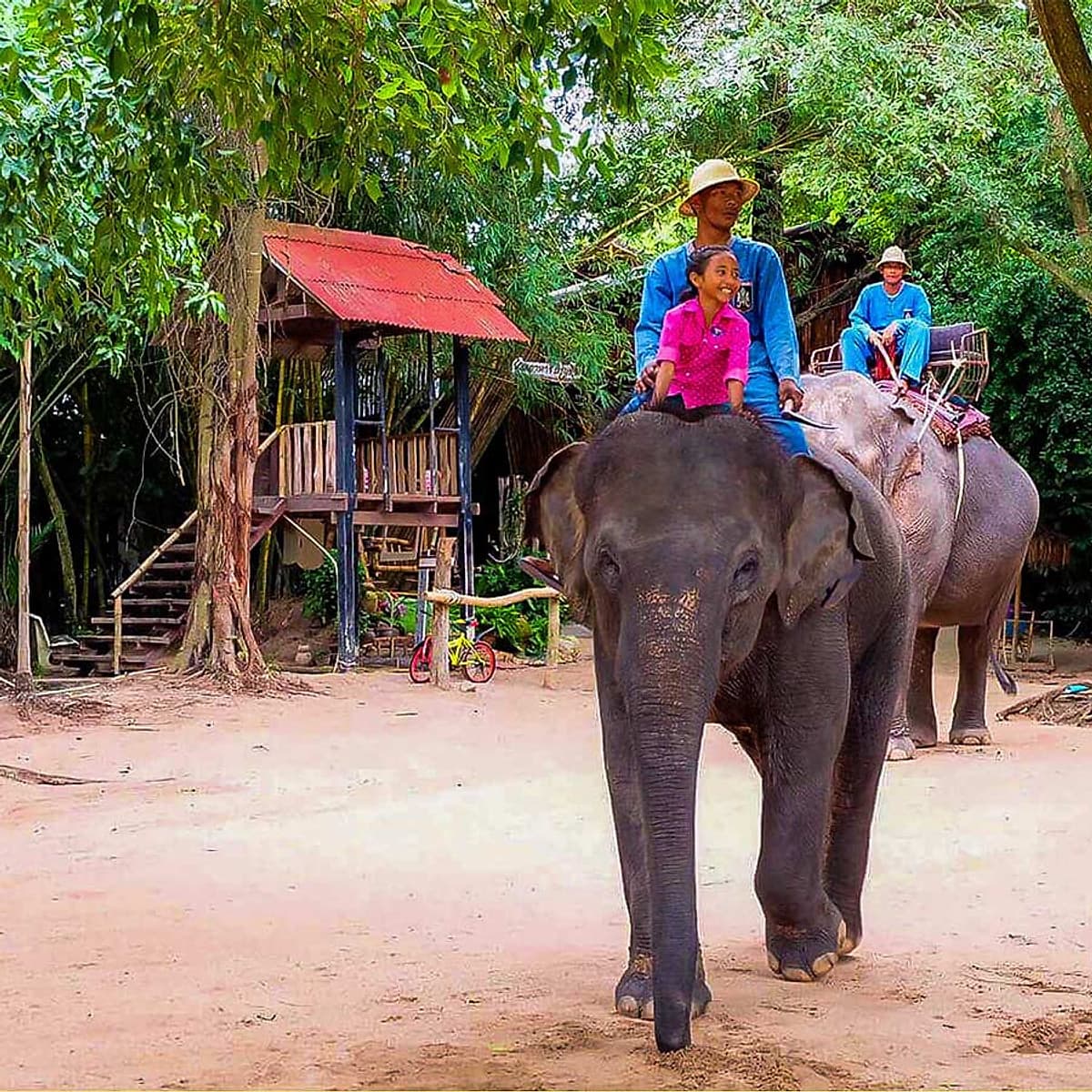 Vé Tham Quan Làng Voi Pattaya, Thái Lan - Một Giờ Trekking Cùng Voi (16:00 - 17:00)