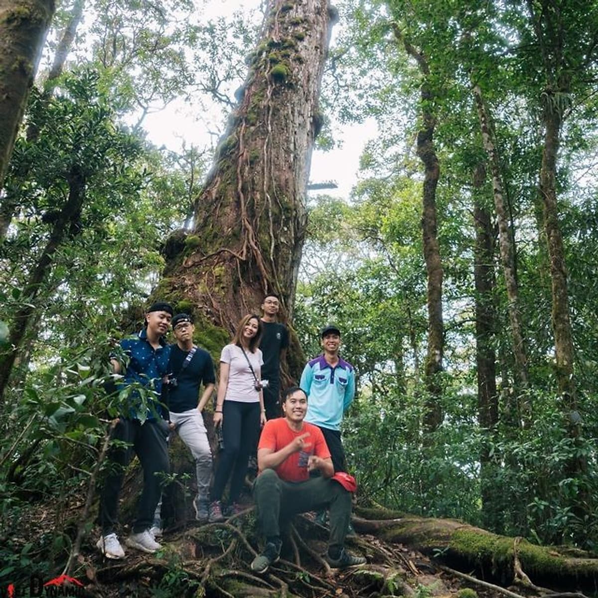 [Tour Tết 2021] 2N3Đ Sài Gòn - Trekking Núi Bidoup - Sông Đa Nhim - Lâm Đồng - Chinh Phục Đỉnh 2287m, Xe Giường Nằm, Khởi Hành Tối Mùng 4 Tết