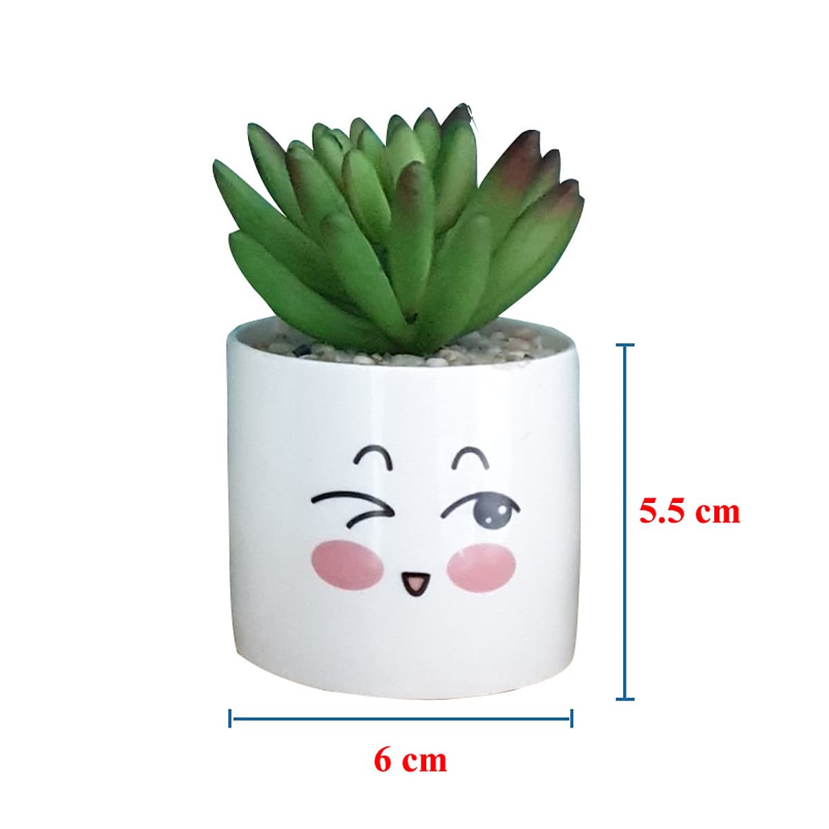Bộ 4 chậu sen đá nhân tạo mini họa tiết hoạt hình đáng yêu