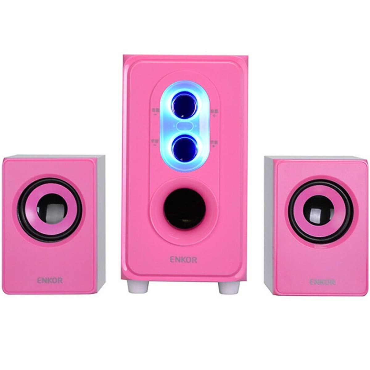 Loa Xách Tay Đa Phương Tiện ENKOR E50