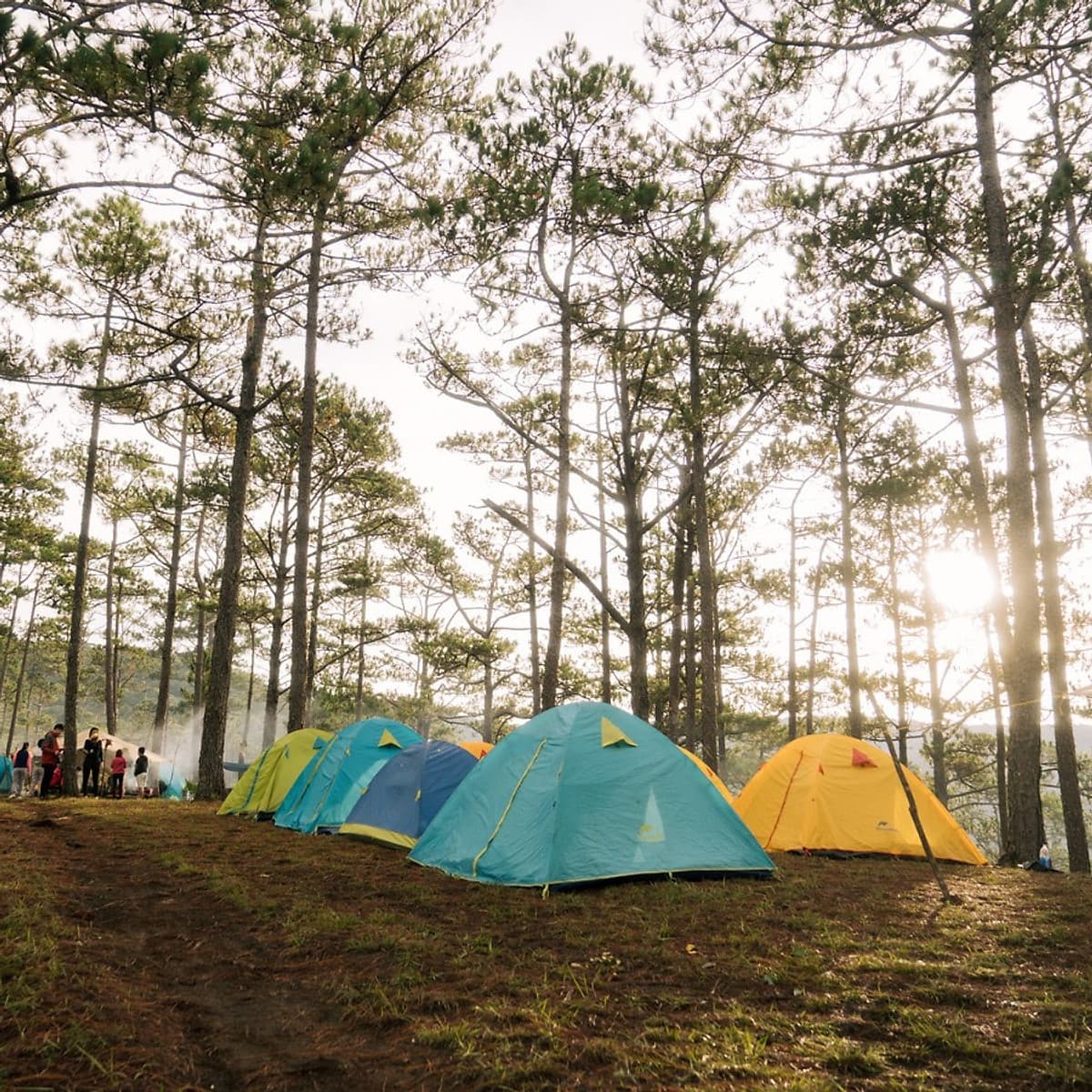[Tour Tết 2021] 2N3Đ Sài Gòn - Trekking Núi Bidoup - Sông Đa Nhim - Lâm Đồng - Chinh Phục Đỉnh 2287m, Xe Giường Nằm, Khởi Hành Tối Mùng 4 Tết