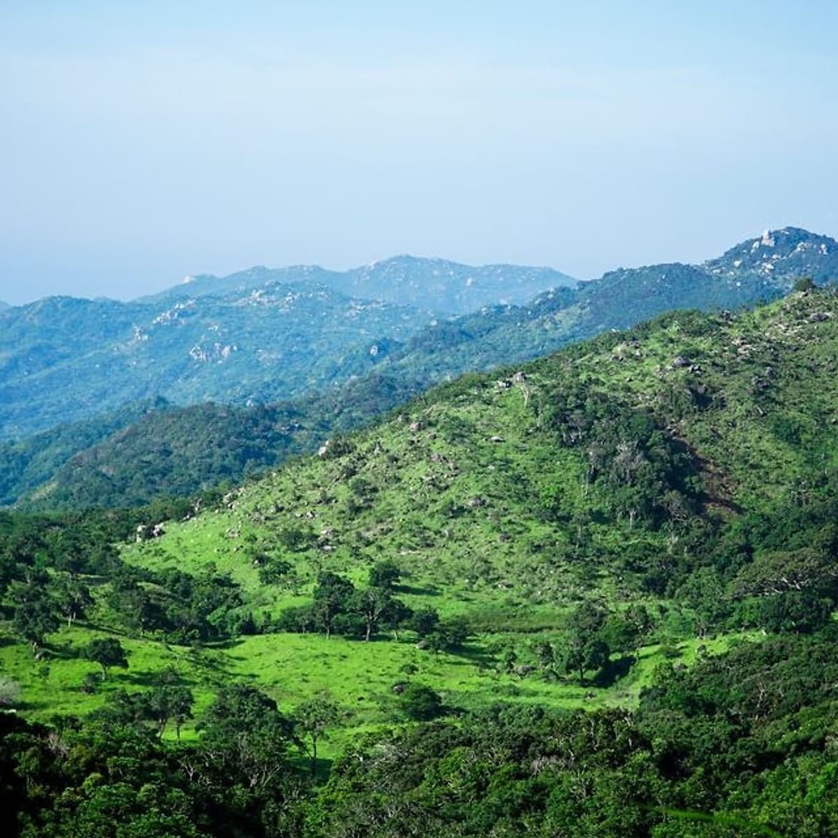 Tour 2N2Đ Sài Gòn - Núi Chúa - Vịnh Vĩnh Hy - Leo Núi Trekking 7Km - Suối Lồ Ồ - Cắm Trại Lalaland Camping Bên Biển, Khởi Hành Tối Thứ 6 Hàng Tuần