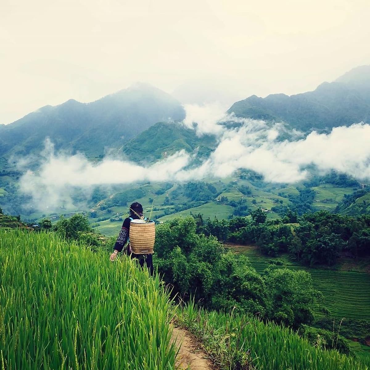 Tour 4N3Đ Hà Nội - Mai Châu - Pù Luông - Suối Cá Thần - Thung Nham - Chùa Tam Chúc, Khởi Hành Thứ 5 Hàng Tuần & Dịp Lễ Tết