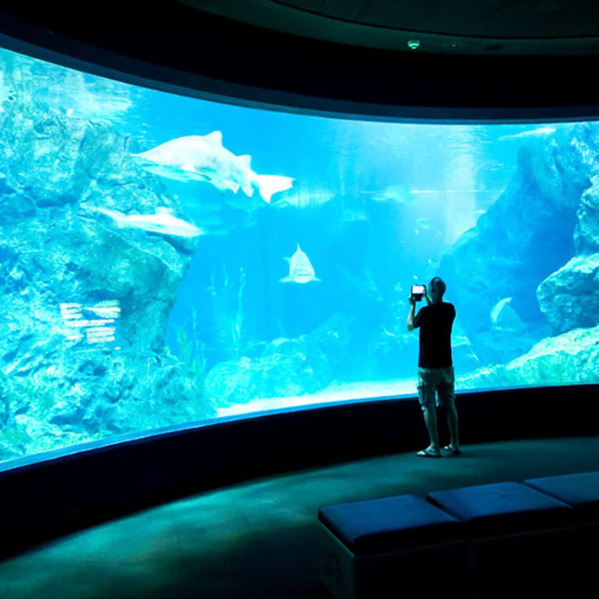 Combo Vé Bảo Tàng Sáp Madame Tussauds Bangkok Và Vé Thủy Cung Sea Life Bangkok