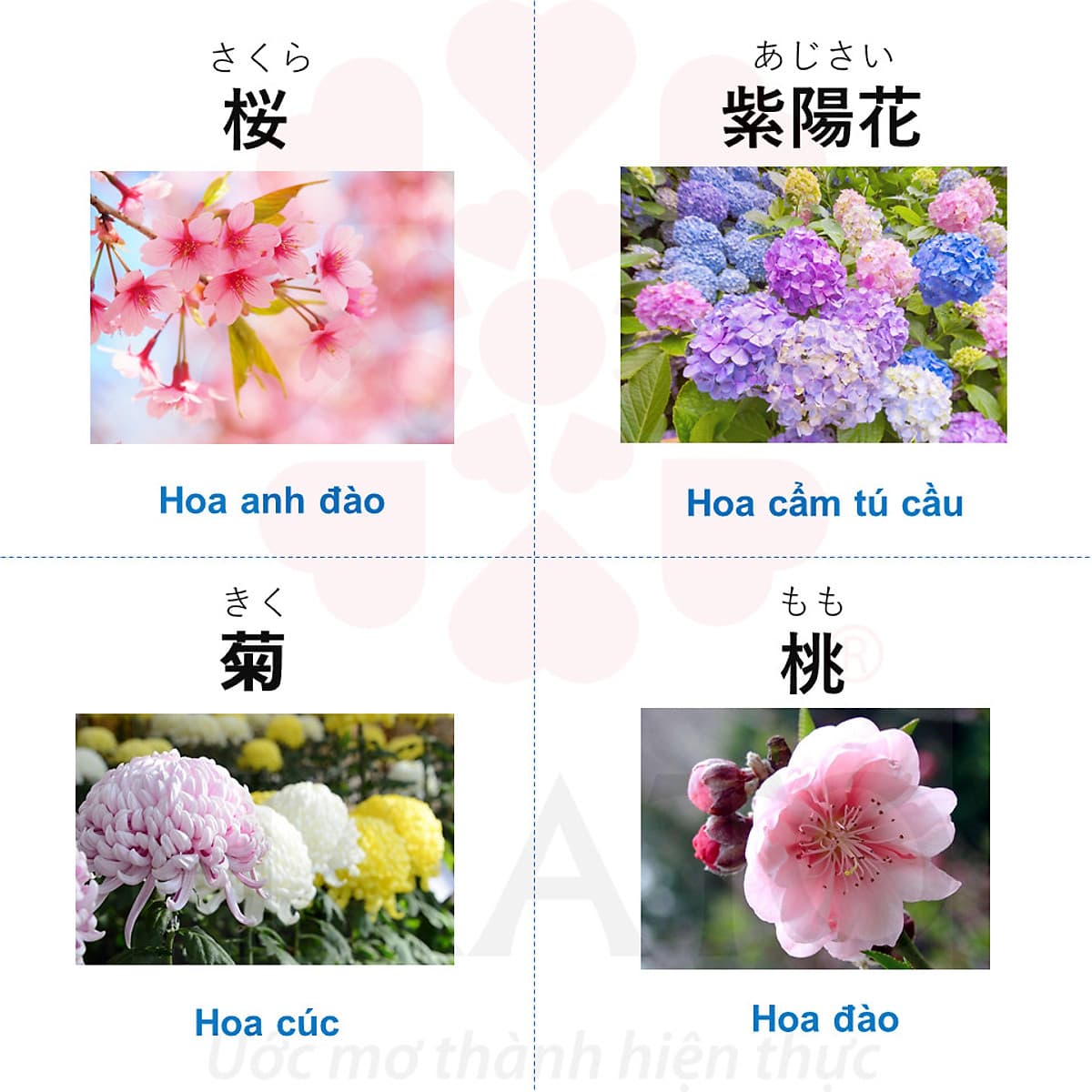 Khóa học tiếng Nhật Online N5 cùng HAATO (Học phần 2 từ Bài 9 -16) 