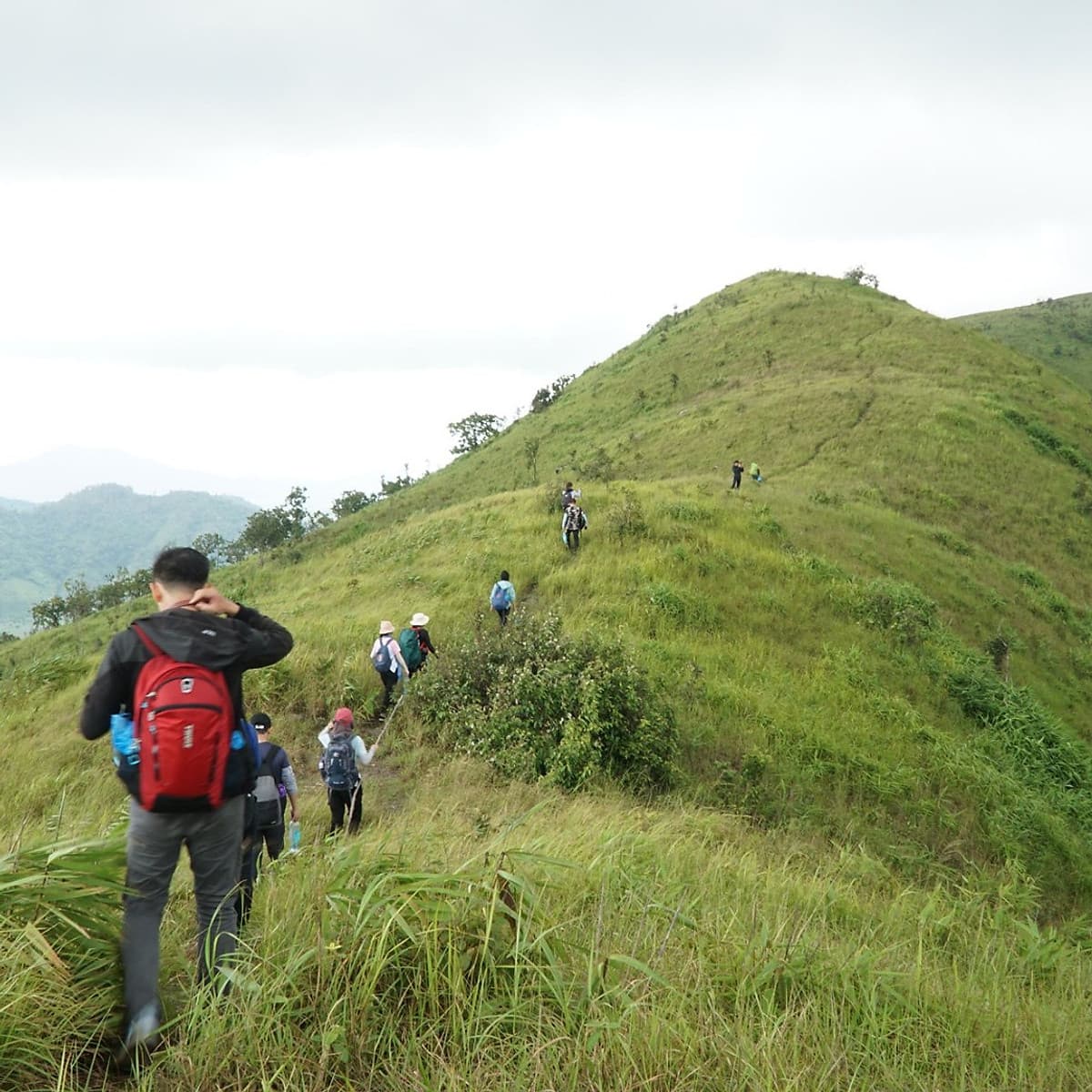 Tour 2N3Đ Sài Gòn - Trekking Thảo Nguyên Pal Sol - Tỉnh Đăk Lăk, Xe Giường Nằm, Khởi Hành Tối Thứ 6 Hàng Tuần