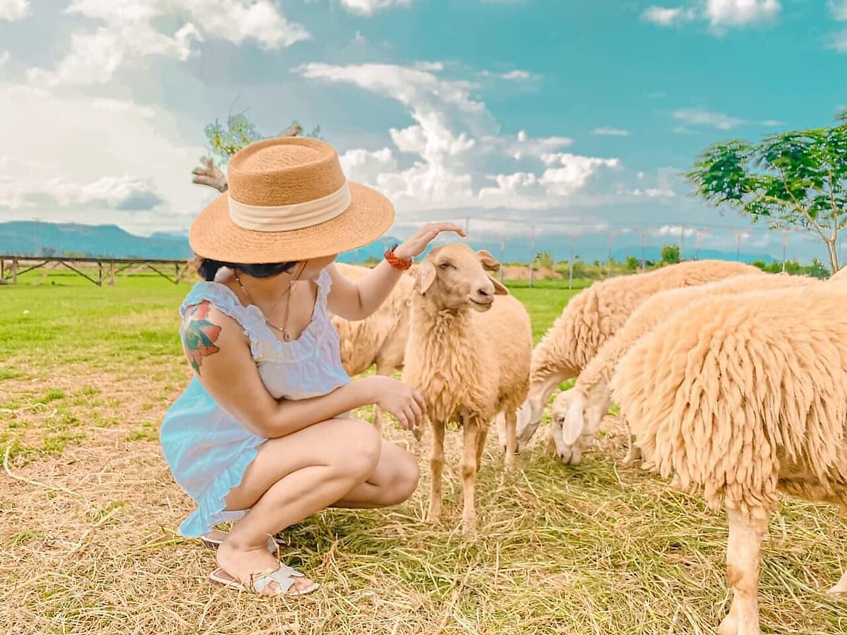 Combo Tour Đảo Yến Đông Tằm và Tour Hang Rái Vườn Nho Đồng Cừu