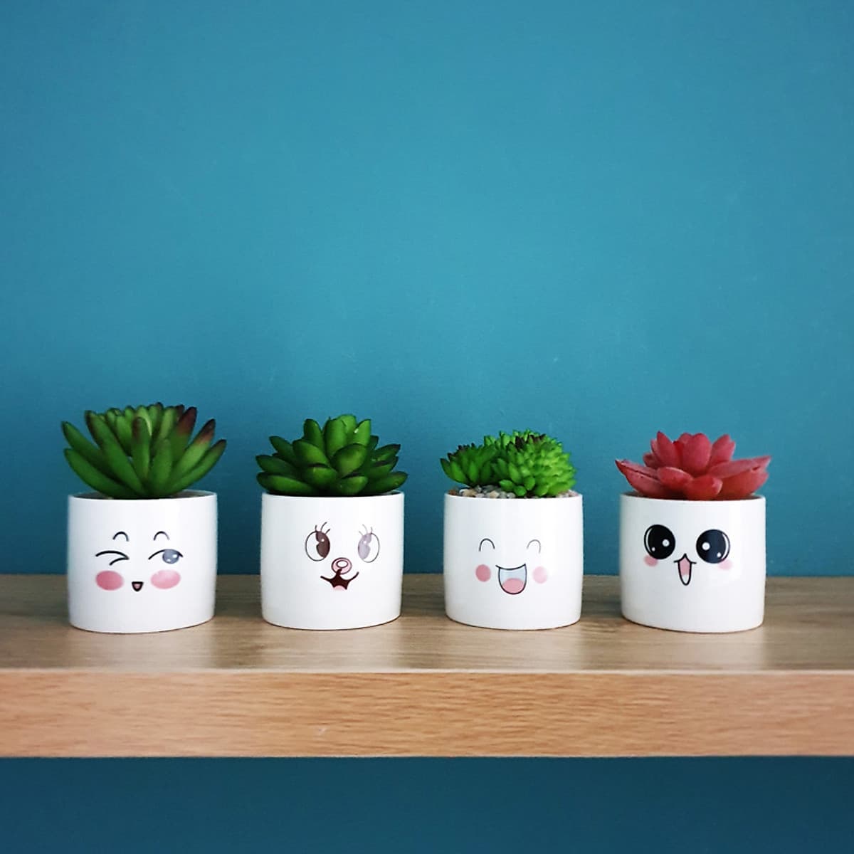 Bộ 4 chậu sen đá nhân tạo mini họa tiết hoạt hình đáng yêu