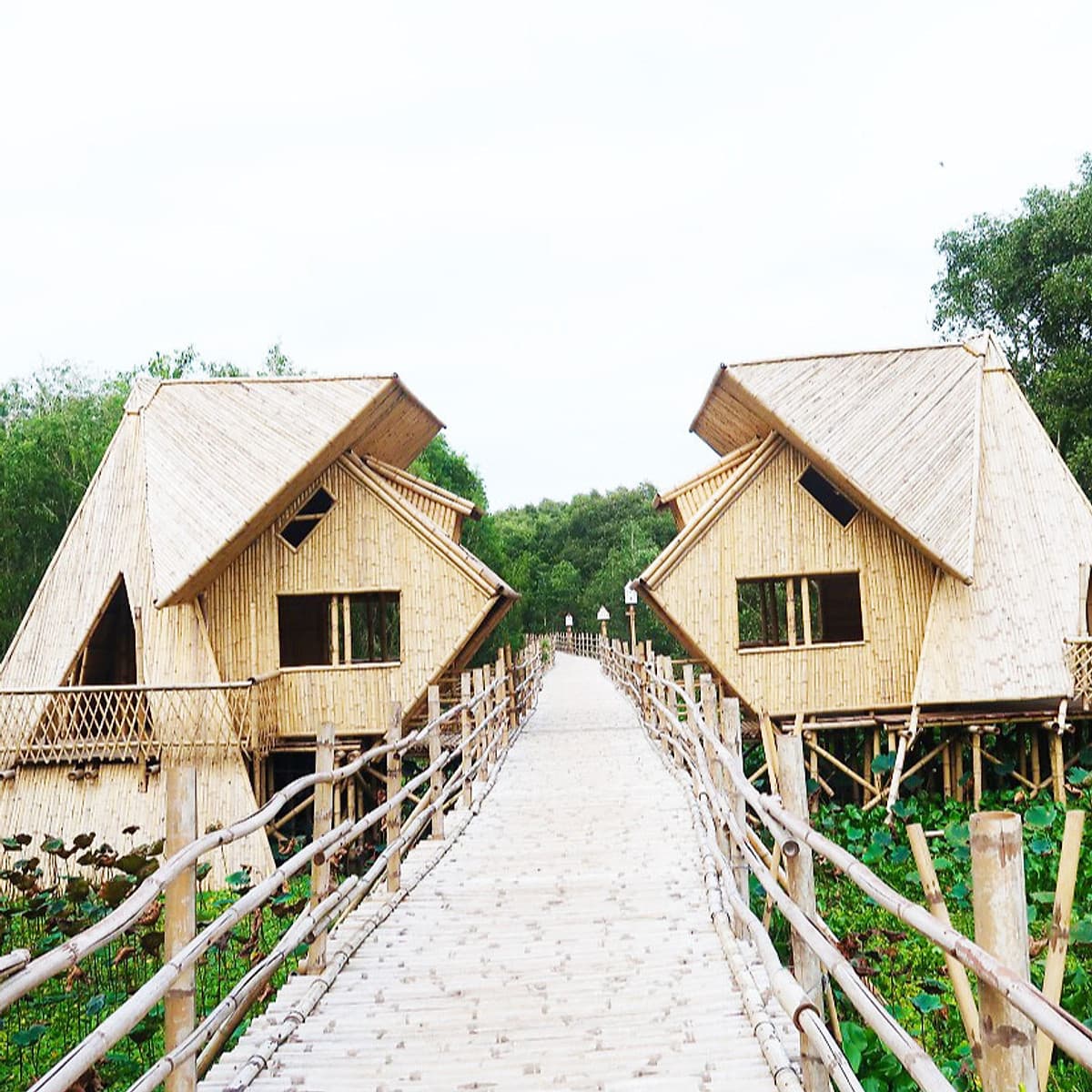 Tour du lịch miền Tây 4N3Đ từ Sài Gòn | Khám phá 5 tỉnh miền Tây - An Giang, Cần Thơ, Sóc Trăng, Bạc Liêu, Cà Mau