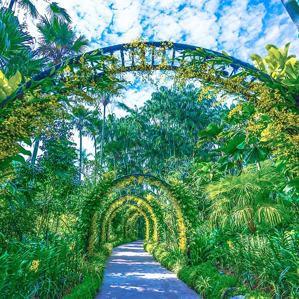 Vé Tham Quan Vườn Lan National Orchid Garden Ở Singapore