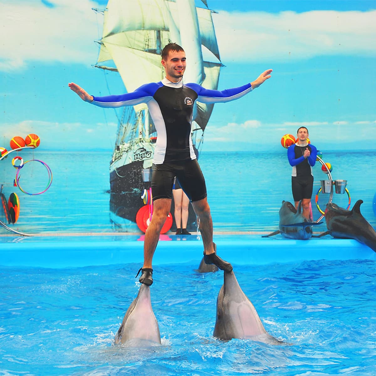 Vé Dolphins Bay Nemo Phuket, Thái Lan - Ghế Thường