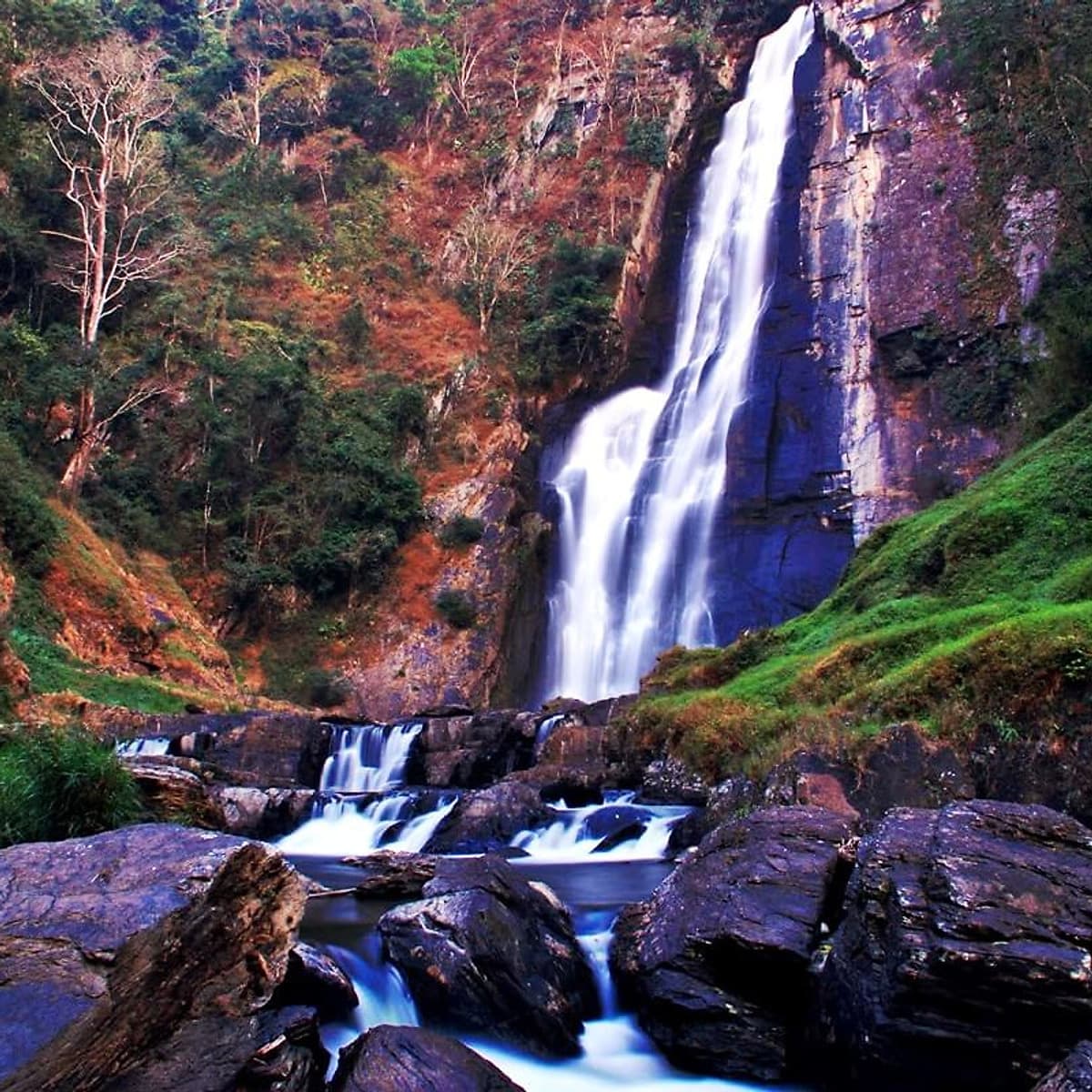 Tour 2N2Đ Sài Gòn - Thác Phi Liêng - Lâm Đồng - Trekking Đại Ngàn Tây Nguyên, Khởi Hành Tối Thứ 6 Hàng Tuần