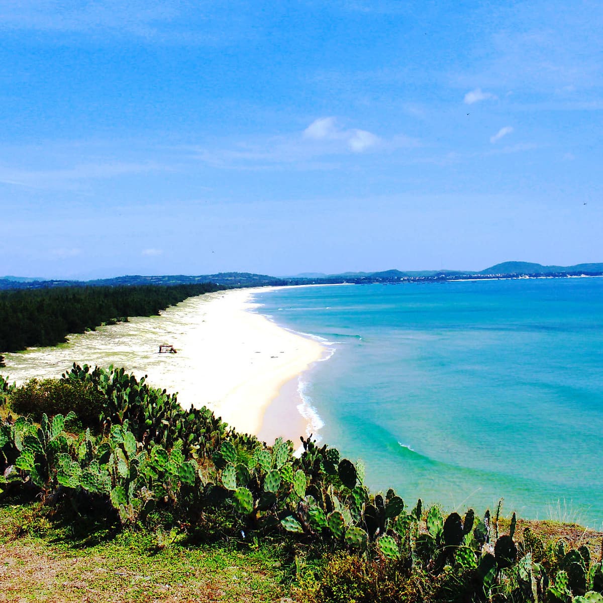 [Tour Tết] tham quan Quy Nhơn - Phú Yên 4 ngày 4 đêm mùng 2 Tết (13/02/2021) khởi hành tại thành phố Hồ Chí Minh bằng xe giường năm chỗ