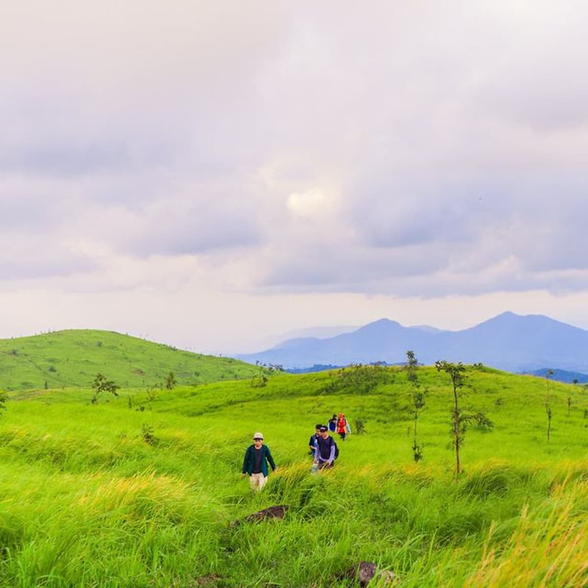 Tour 2N3Đ Sài Gòn - Trekking Thảo Nguyên Pal Sol - Tỉnh Đăk Lăk, Xe Giường Nằm, Khởi Hành Tối Thứ 6 Hàng Tuần