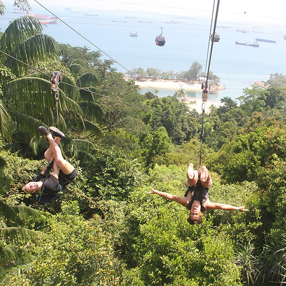 Vé Megazip Adventure Ở Sentosa Singapore