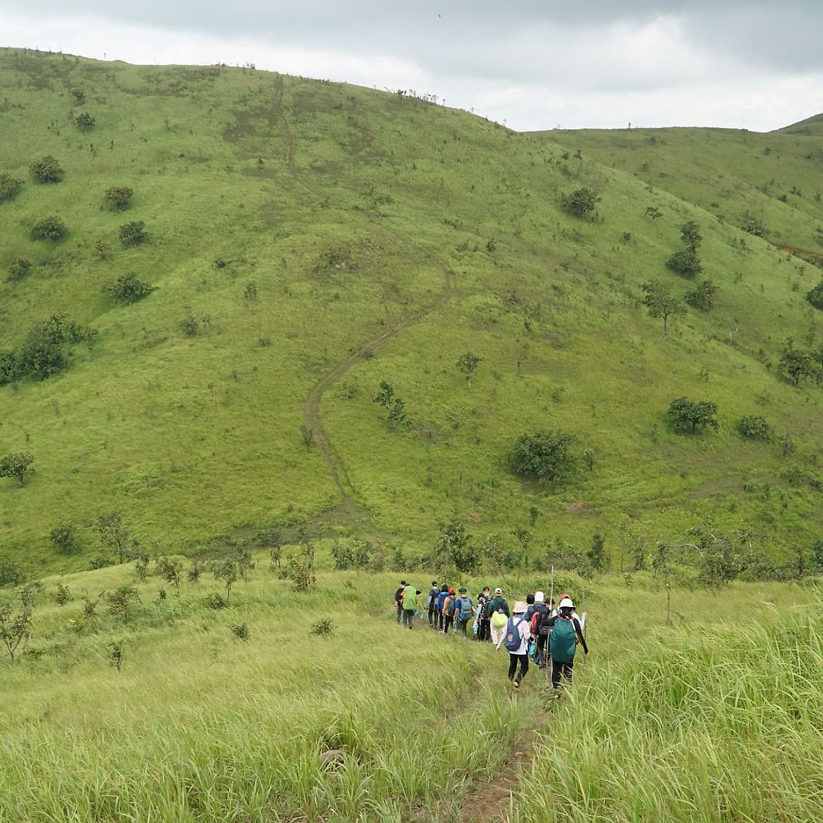 Tour 2N3Đ Sài Gòn - Trekking Thảo Nguyên Pal Sol - Tỉnh Đăk Lăk, Xe Giường Nằm, Khởi Hành Tối Thứ 6 Hàng Tuần