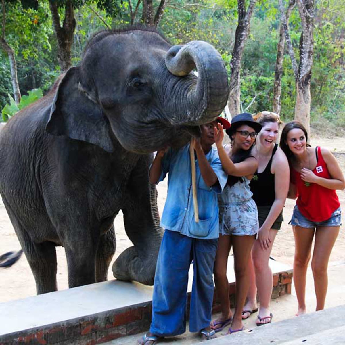 Vé Phuket Safari Gói D + Bữa Tối (14:30-19:00)
