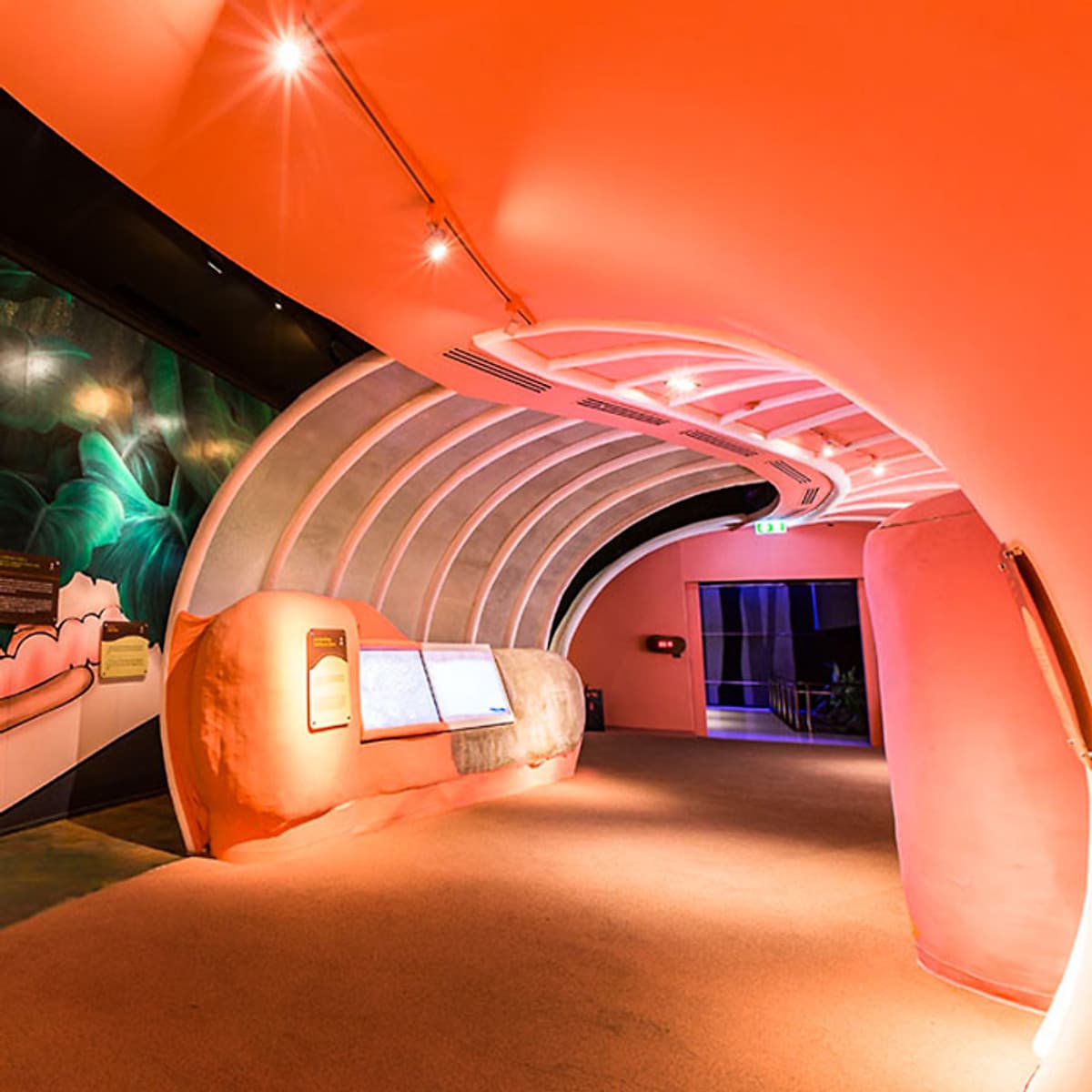 Vé Tham Quan Bảo Tàng Rắn Siam Serpentarium Ở Bangkok, Thái Lan